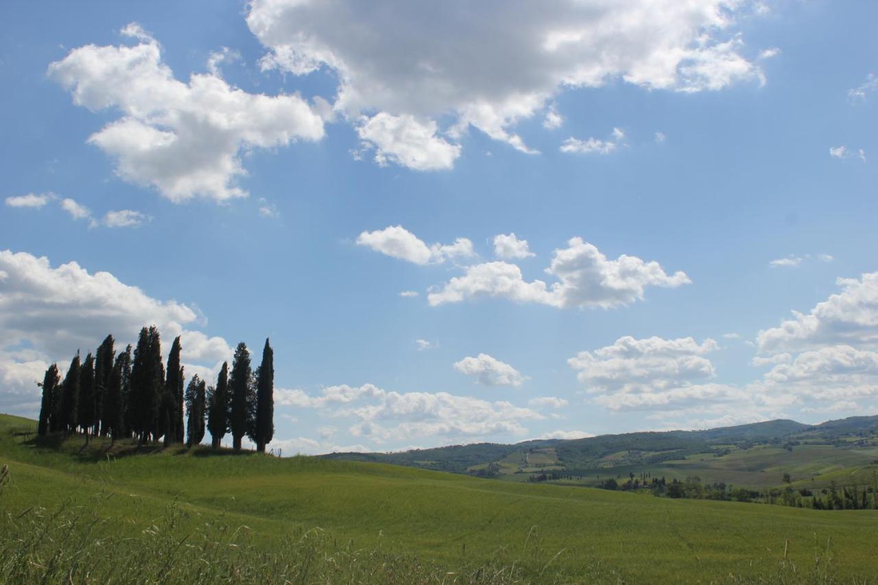 Villa La Casina di Nonna Lola Castiglione dʼOrcia Esterno foto